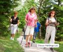 Nordic walking programs in Budapest