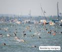 Hungary's largest open water swimming event - The Balaton Swim