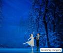 If it's December, then it's time for The Nutcracker