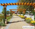 Fish and Wine Festival in Balatonfüred