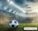 Four Days of Football & Entertainment in Budapest