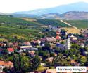 Discover Mád, the pearl of the Tokaj wine region